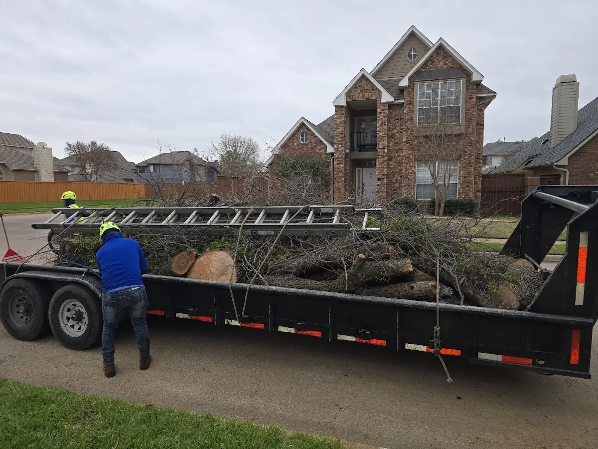 Expert Lot Clearing with proper safety equipment in Emerson
